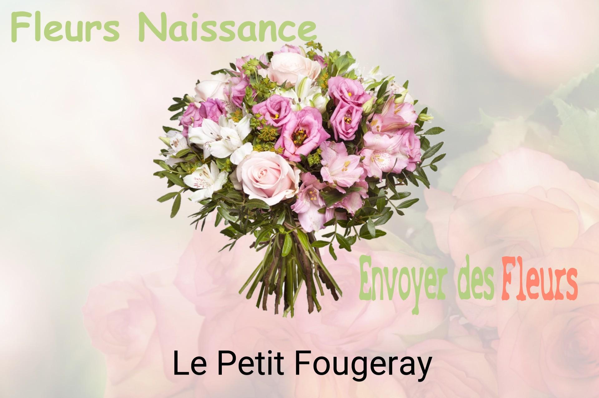 Bouquet de fleurs de naissance livré à Le Petit-Fougeray